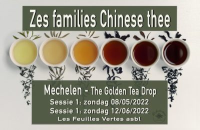 Zes families Chinese thee – Mechelen