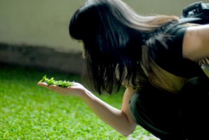A propos de nous, Les Feuilles Vertes