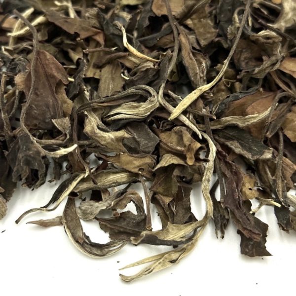 Bai Mu Dan