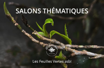 Salons Thématiques