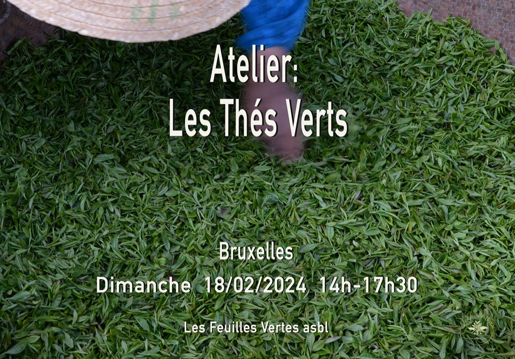 Atelier - Les thés verts