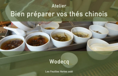 Bien préparer vos thés chinois – Wodecq